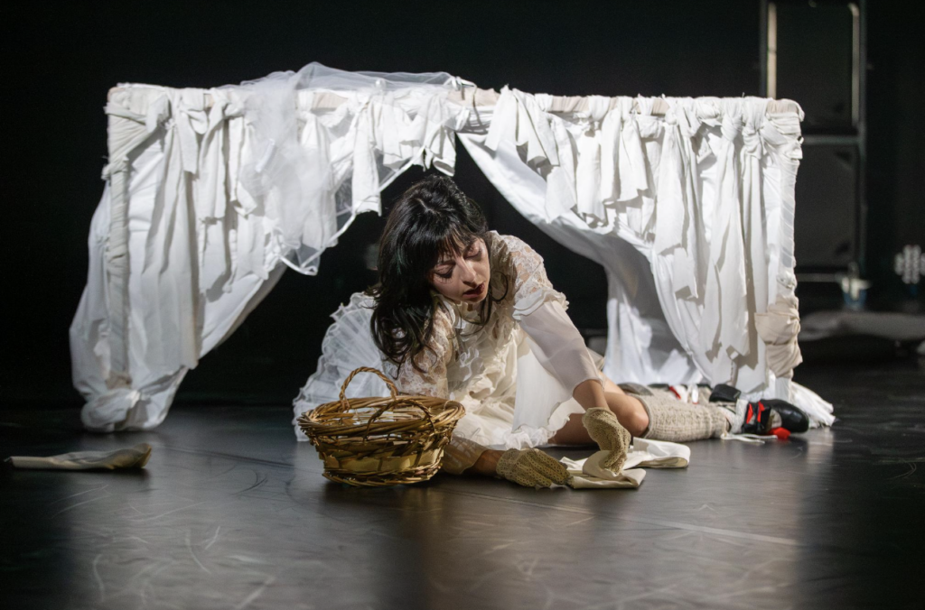 Dalle otto del mattino alle undici di sera: il teatro di Ascoli si riempie di arte. Progetto da non perdere nelle Marche