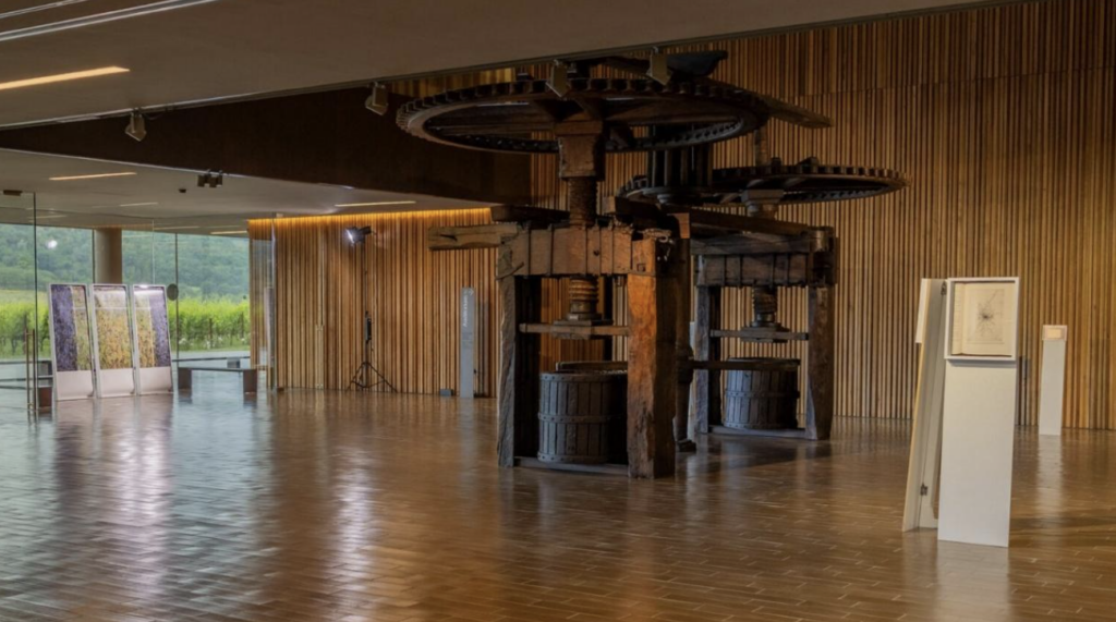 Esiste una cantina nel Chianti dove il vino incontra una collezione d’arte. Il video