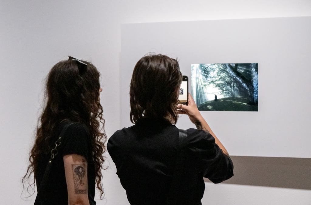 Sembrano foto, poi qualcosa inizia a muoversi. Recensione della mostra di Luca Rento a Venezia