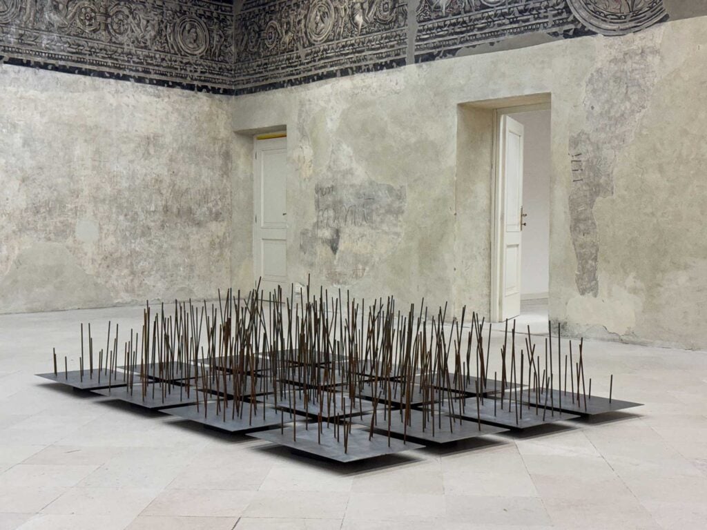 The Lawn. Elena Guerreschi, Galleria d'Arte Moderna Achille Forti, Verona, 2026