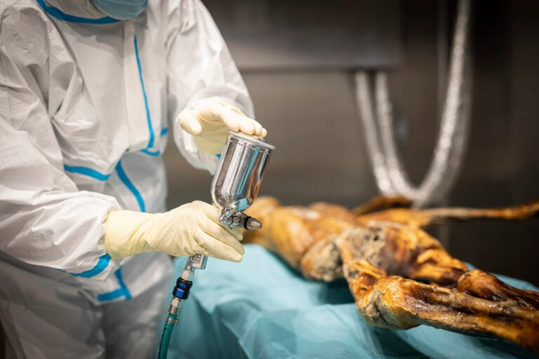 &Ouml;tzi, l&rsquo;uomo del ghiaccio, Umidificazione
