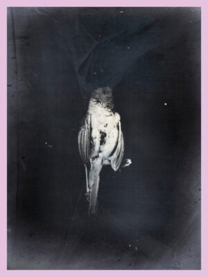 Tamaki Yoshida - Unfolding