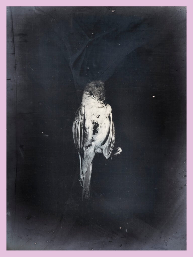 Tamaki Yoshida – Unfolding