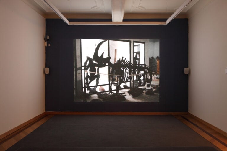 Yto Barrada, Beau geste, Museum Leuven, 2016