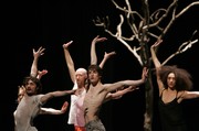 Emio Greco – La Commedia