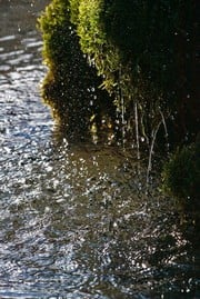 Mario Washington – L’Acqua della Chimica