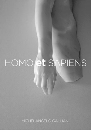 Michelangelo Galliani