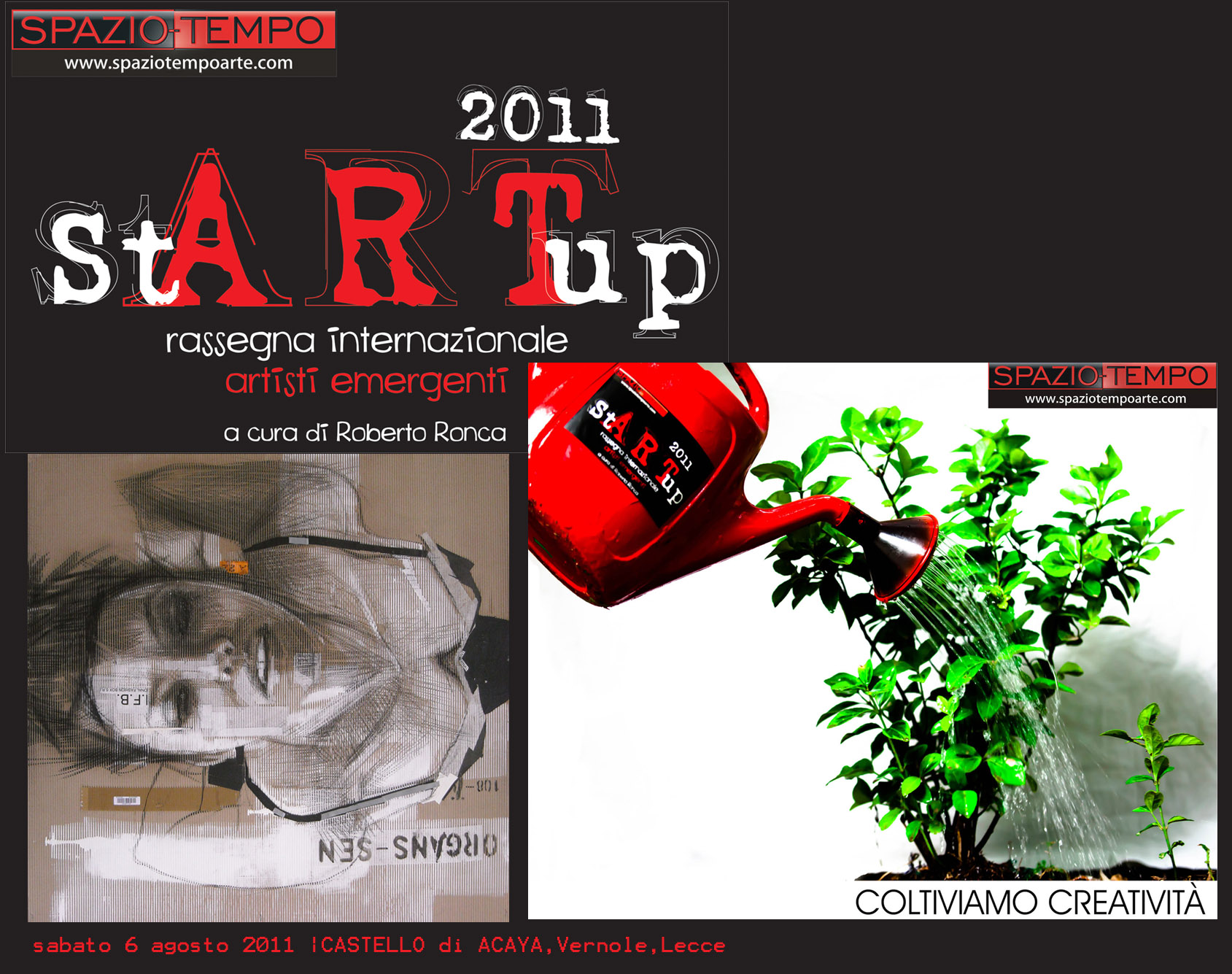 stARTup 2011