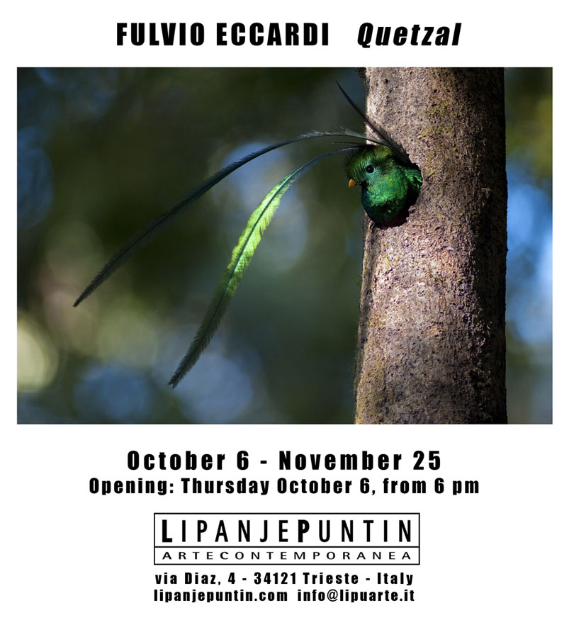 Fulvio Eccardi - Quetzal
