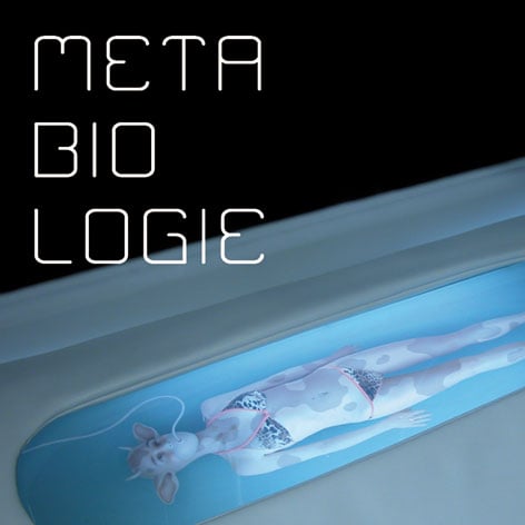 Metabiologie