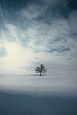 Franco Fontana – An Interior Landscape