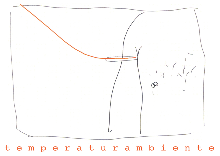 Temperaturambiente