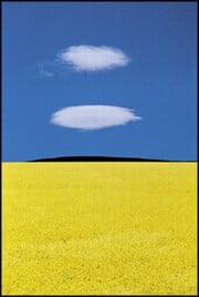 Franco Fontana / Quelli di Franco Fontana