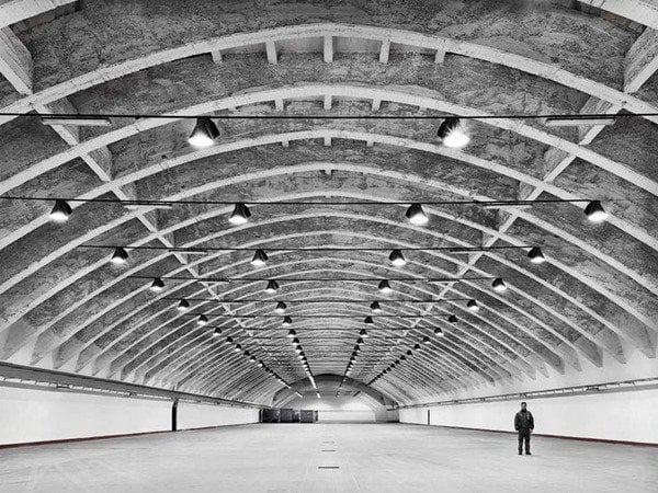 Pierluigi Nervi - L'architettura molecolare