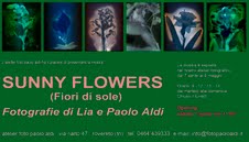 Lia e Paolo Aldi - Sunny Flowers