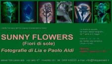 Lia e Paolo Aldi – Sunny Flowers