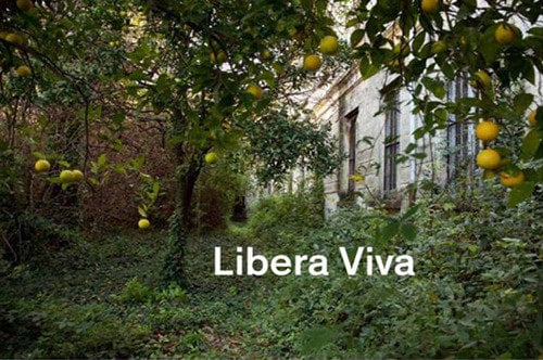 Elisabeth Holzl – Libera viva