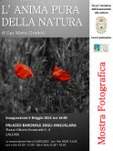 Ugo Maria Cionfrini – L’anima Pura della natura