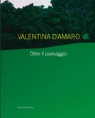 Valentina D’Amaro – Oltre il paesaggio