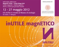 InUTILE magnETICO