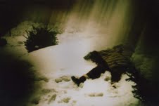 Federica Romagnoli – Psicanalogic