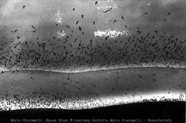 Mario Giacomelli – Un maestro della fotografia del Novecento