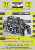 Elio Alfano – Nature di Morte