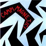 Campi Magnetici PhotoMag