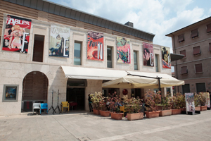 Fenice Nine Arts International Festival