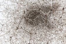 Antony Gormley – Vessel