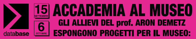 Database - L'Accademia al Museo #3