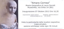 Laura Zarrelli - Amara cornea