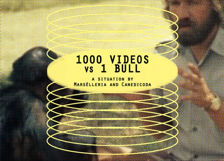 Canedicoda - 1000 Videos vs 1 Bull