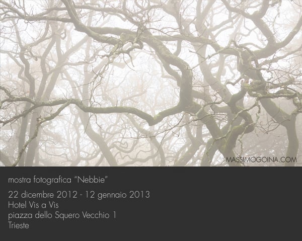 Massimo Goina – Nebbie