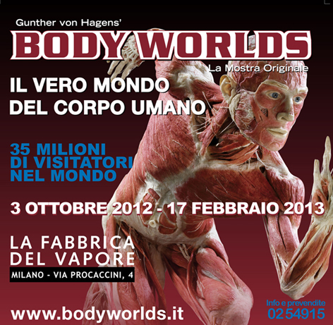 Body Worlds: The Artists’ night