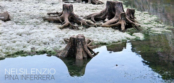 Pina Inferrera - Nel Silenzio