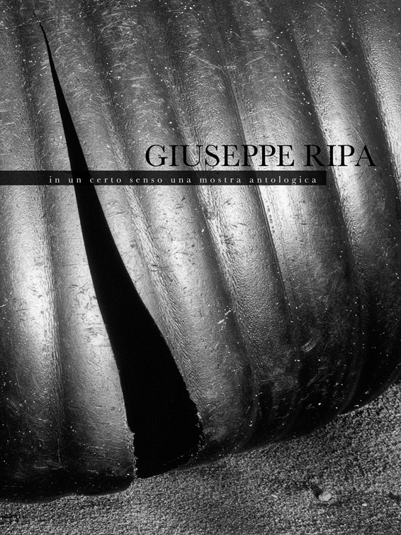 Giuseppe Ripa – In un certo senso una mostra antologica
