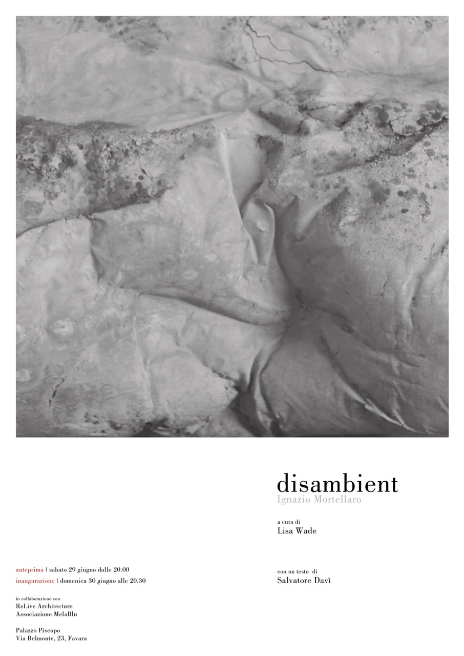 Ignazio Mortellaro – Disambient