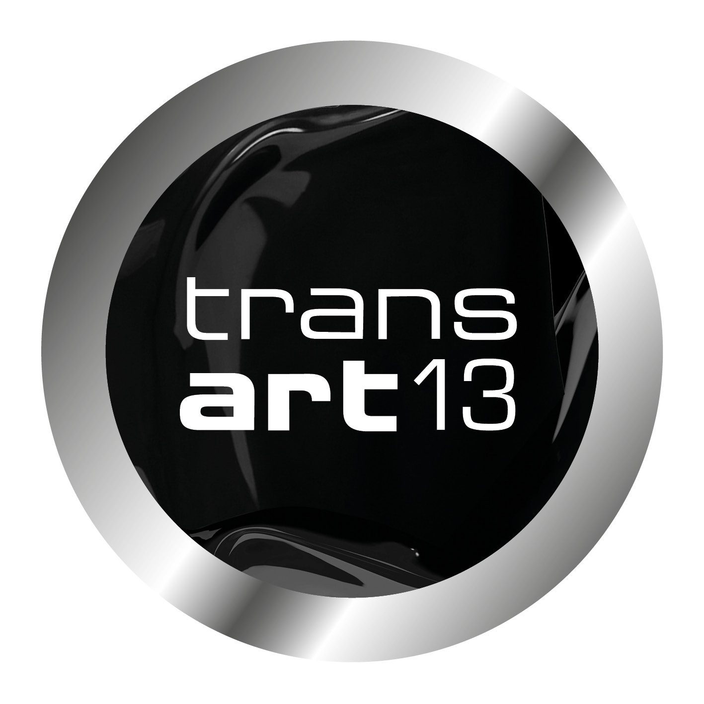 Transart 2013