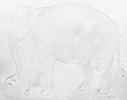 Grant Ditzler - Annone the white elephant