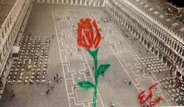 Una rosa per Venezia