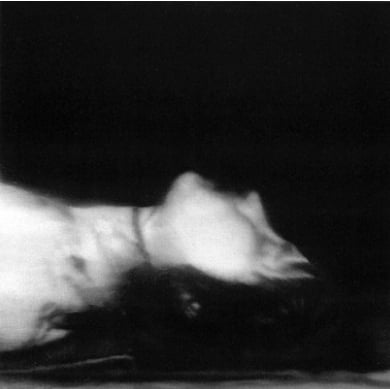 Gerhard Richter