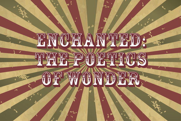 Enchanted: the poetics of wonder