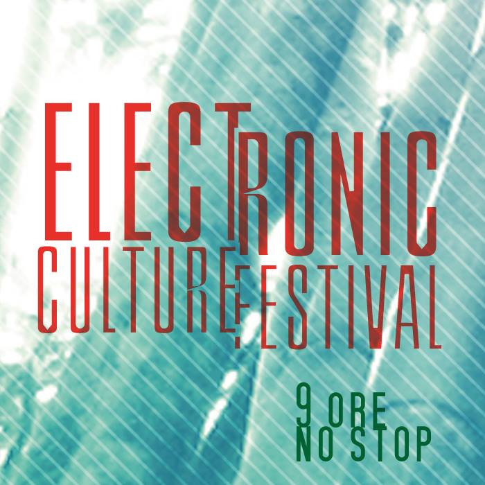 Eletronic Culture Festival 2014
