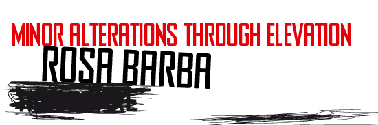 Rosa Barba - Minor alterations through elevation