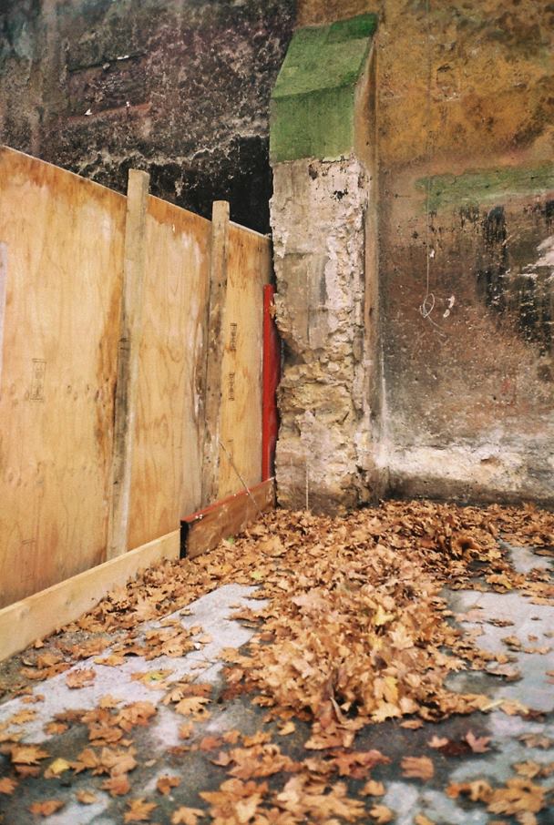 Noah Stolz - The Orgosolo Laboratory Project