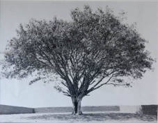 Abbas Kiarostami / Shirin Neshat - Come along with the wind