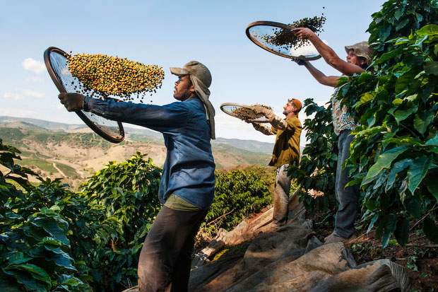 Steve McCurry – From These Hands. A journey along the coffee trail