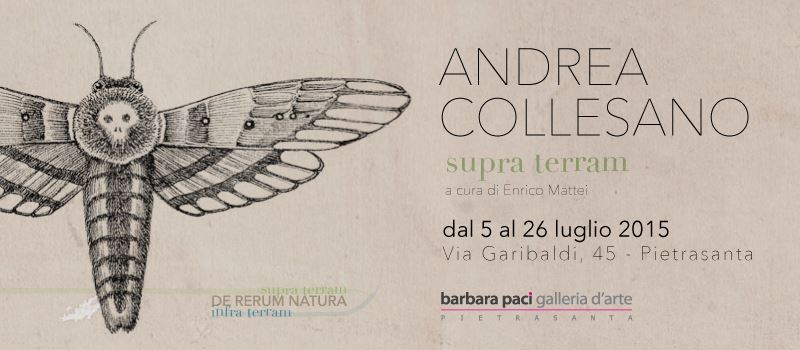 Andrea Collesano - Supra terram