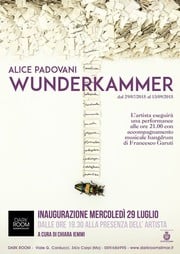 Alice Padovani – Wunderkammer